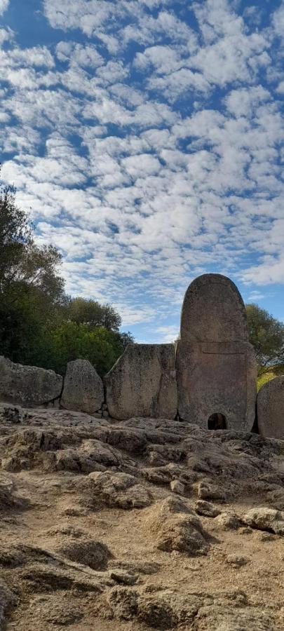 Appartamento Casa Mario E Stefanina Bassacutena Esterno foto