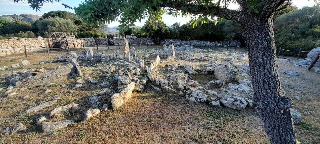 Appartamento Casa Mario E Stefanina Bassacutena Esterno foto