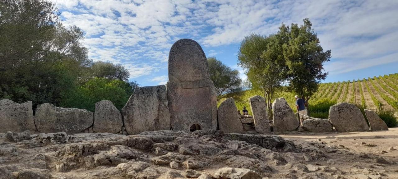 Appartamento Casa Mario E Stefanina Bassacutena Esterno foto